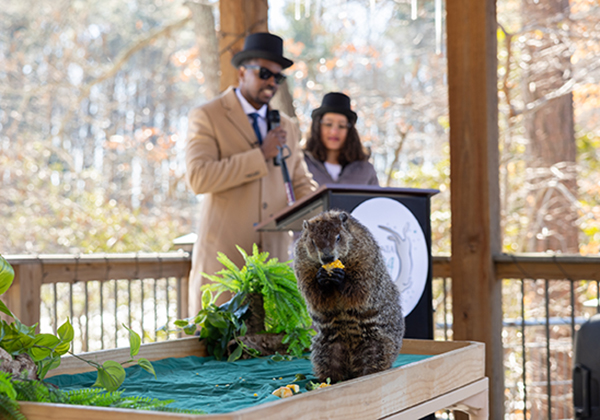 Students visit for Groundhog Day prediction of early spring
